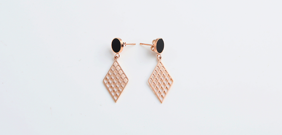 Fashion hollow stainless steel earrings
