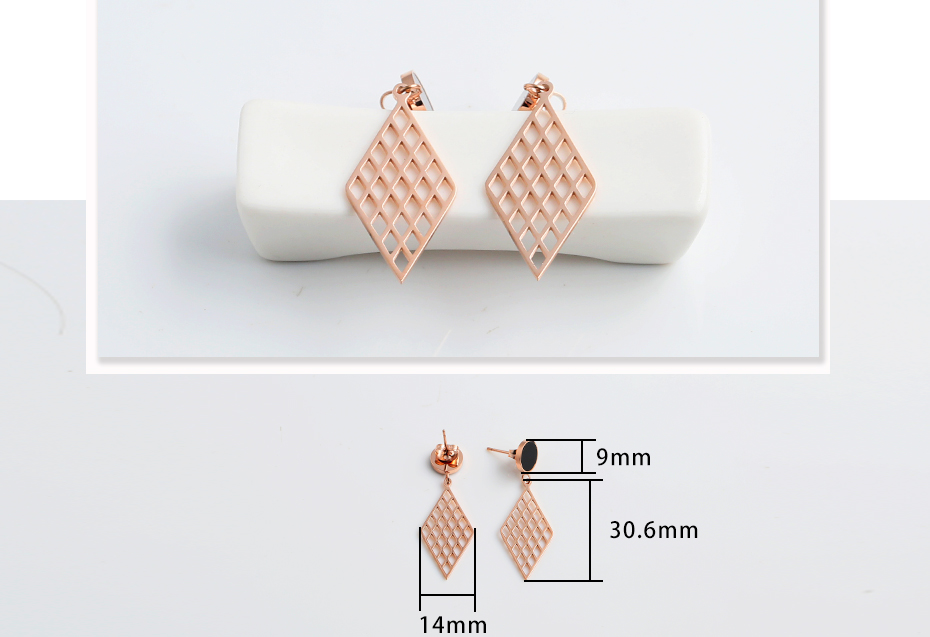 Fashion hollow stainless steel earrings