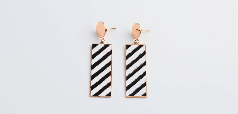 Fashion black and white striped earrings